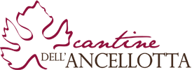 Consorzio Cantine dell'Ancellotta